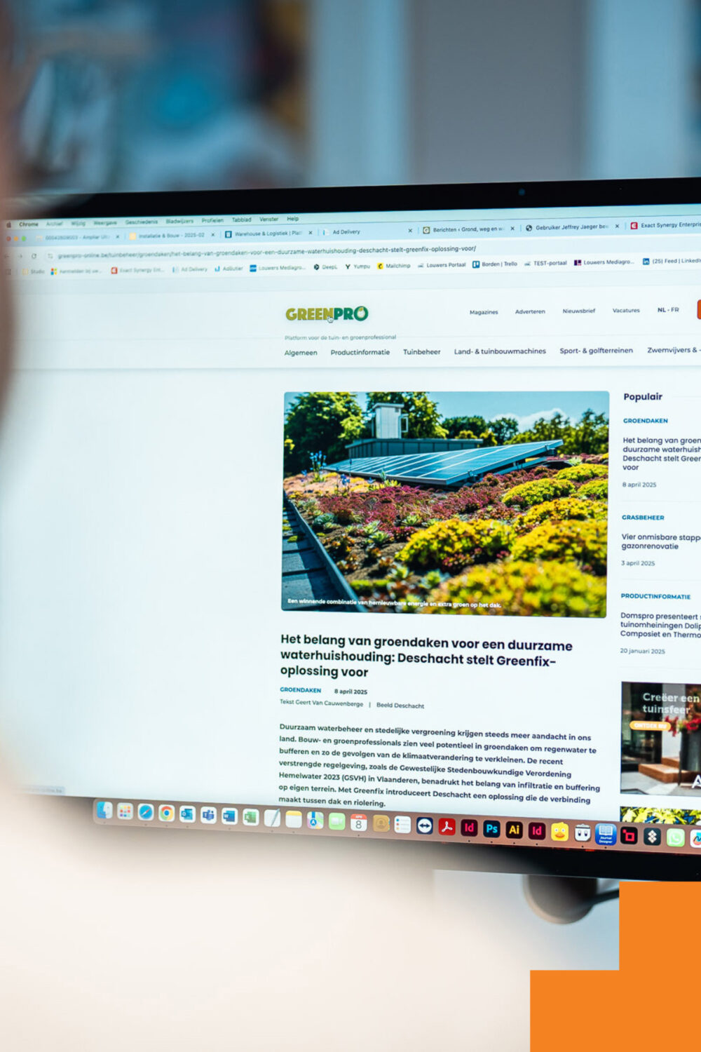 Louwers Mediagroep - Online