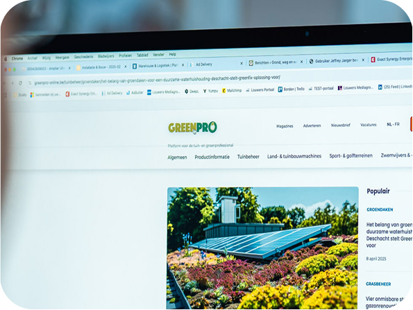 Louwers Mediagroep - Online